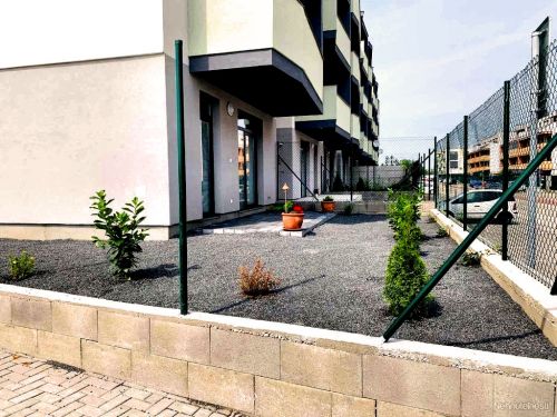 Senec Holubia